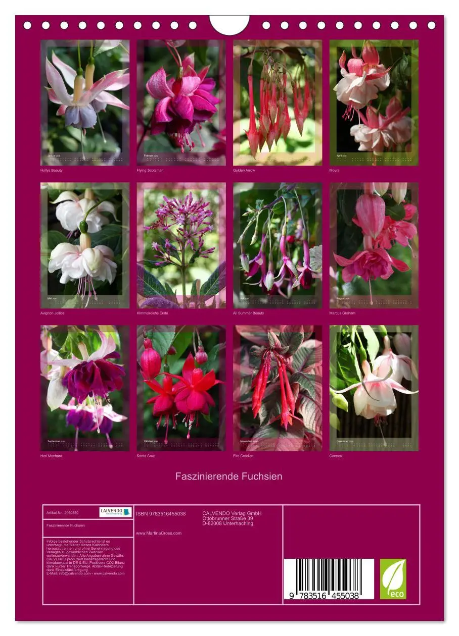 Bild: 9783516455038 | Faszinierende Fuchsien (Wandkalender 2026 DIN A4 hoch), CALVENDO...