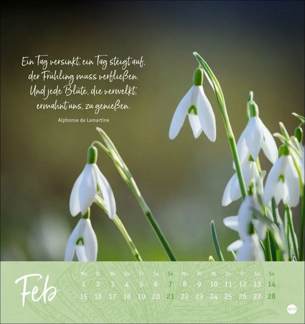 Bild: 9783756415038 | Tage voller Glück Postkartenkalender 2027 | Heye | Kalender | 13 S.