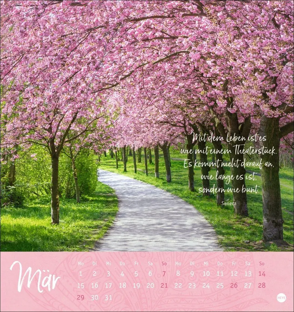 Bild: 9783756415038 | Tage voller Glück Postkartenkalender 2027 | Heye | Kalender | 13 S.