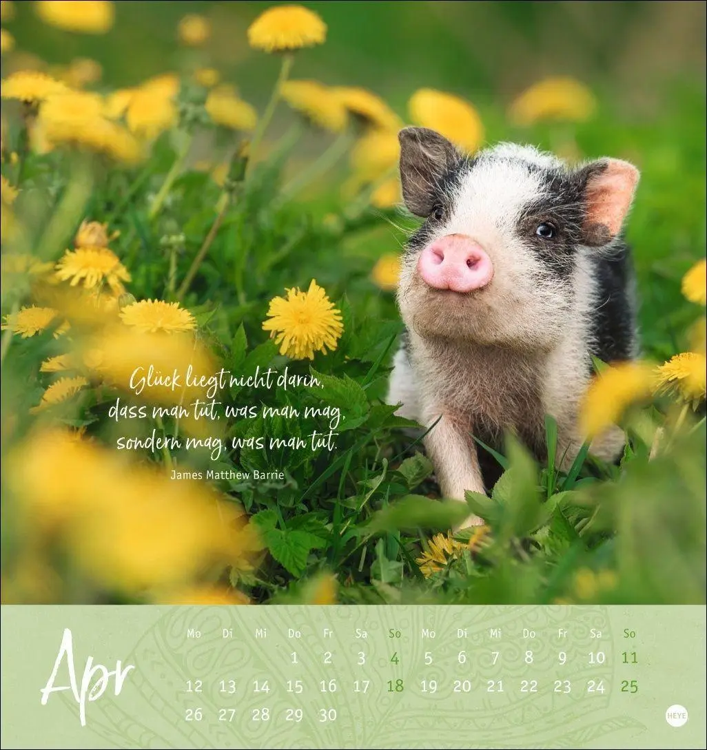Bild: 9783756415038 | Tage voller Glück Postkartenkalender 2027 | Heye | Kalender | 13 S.