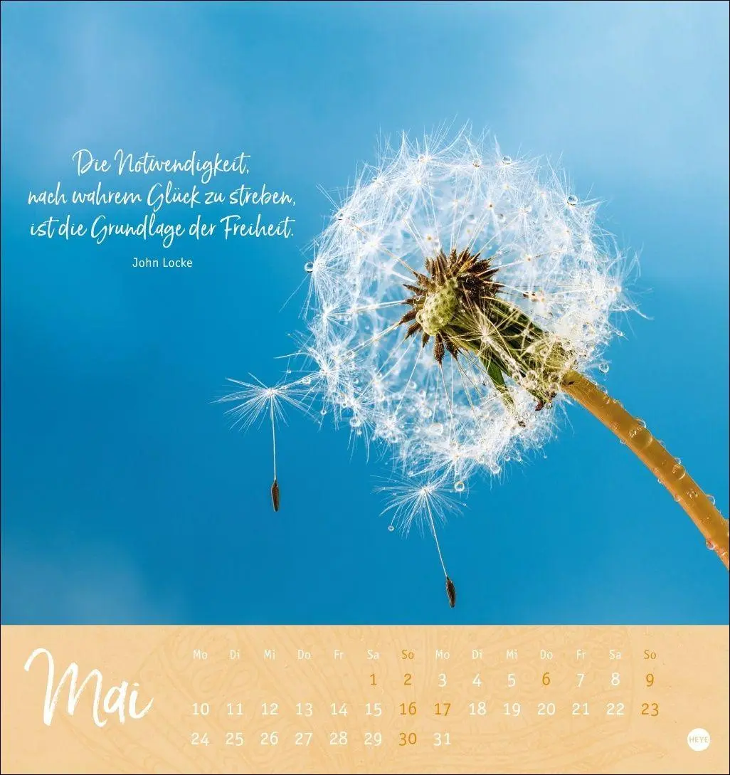 Bild: 9783756415038 | Tage voller Glück Postkartenkalender 2027 | Heye | Kalender | 13 S.