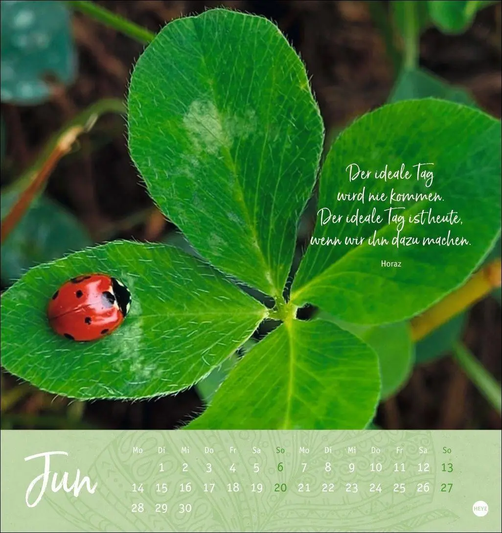 Bild: 9783756415038 | Tage voller Glück Postkartenkalender 2027 | Heye | Kalender | 13 S.
