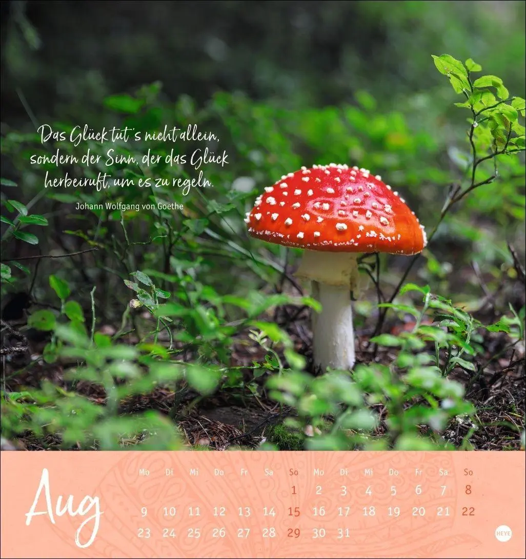 Bild: 9783756415038 | Tage voller Glück Postkartenkalender 2027 | Heye | Kalender | 13 S.