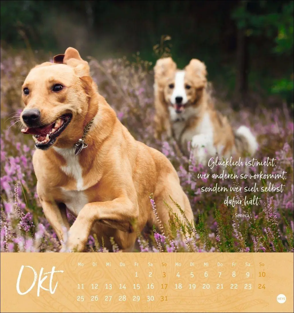 Bild: 9783756415038 | Tage voller Glück Postkartenkalender 2027 | Heye | Kalender | 13 S.