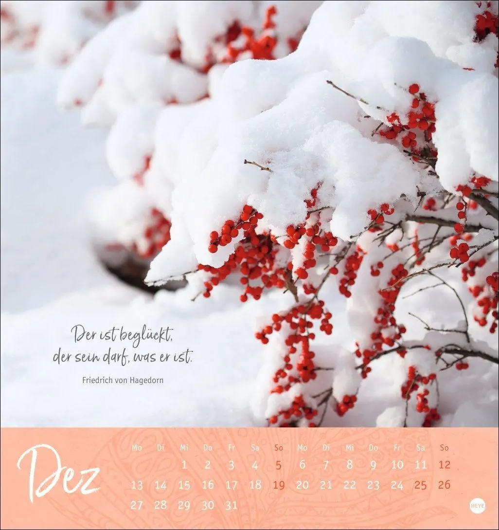 Bild: 9783756415038 | Tage voller Glück Postkartenkalender 2027 | Heye | Kalender | 13 S.