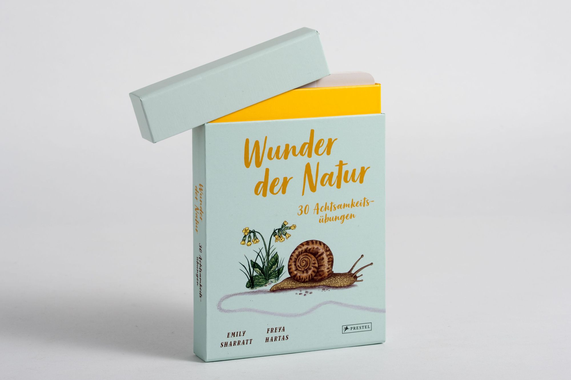 Bild: 9783791375038 | Wunder der Natur - 30 Achtsamkeitsübungen | Box mit 31 Karten | Box