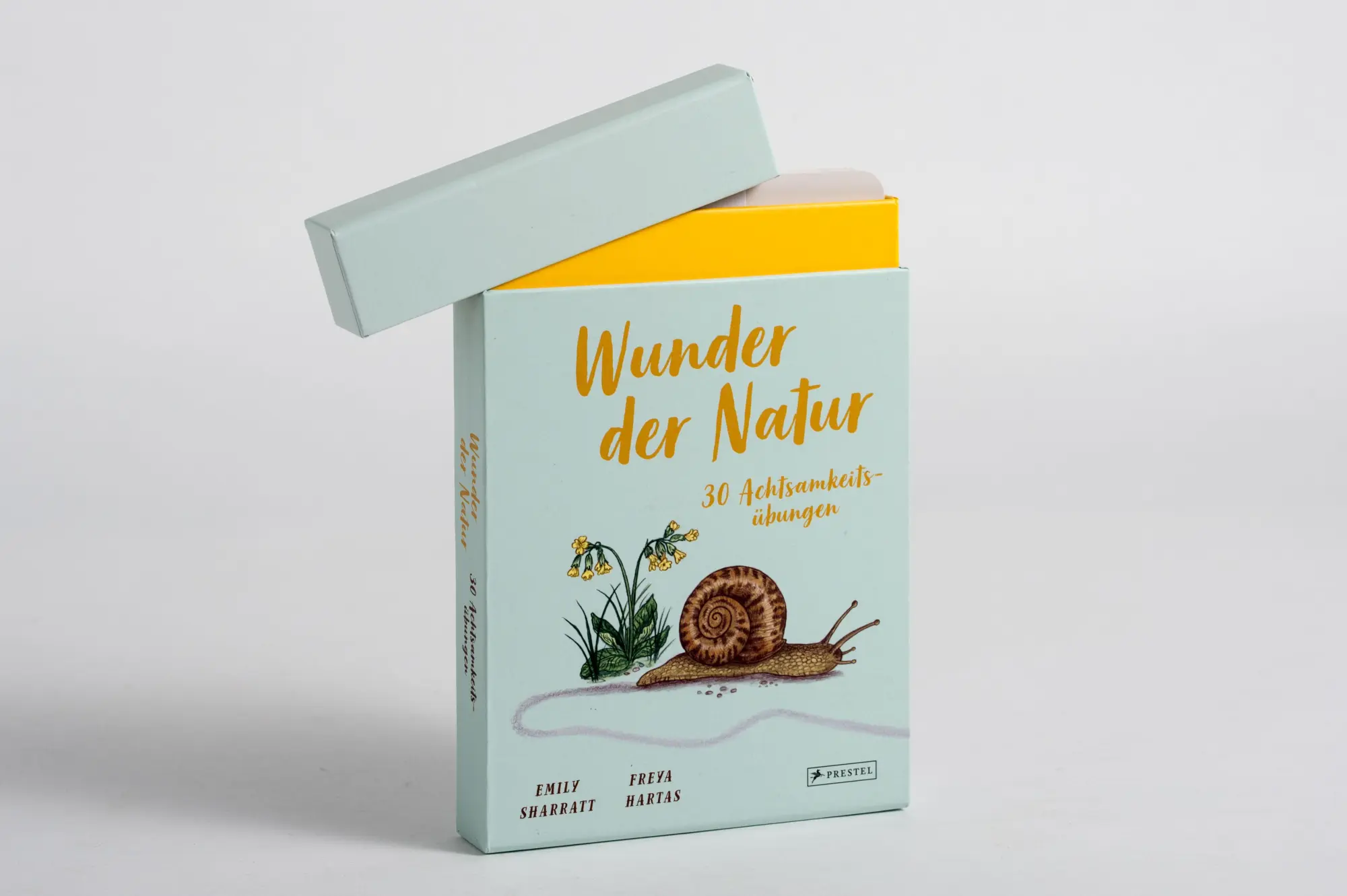 Bild: 9783791375038 | Wunder der Natur - 30 Achtsamkeitsübungen | Box mit 31 Karten | Box