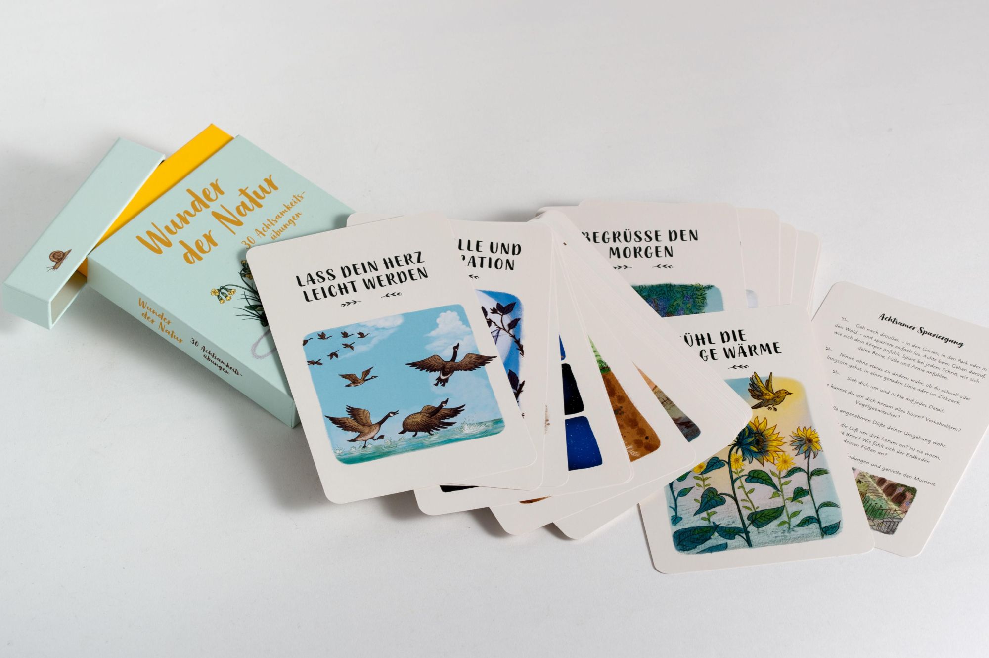 Bild: 9783791375038 | Wunder der Natur - 30 Achtsamkeitsübungen | Box mit 31 Karten | Box