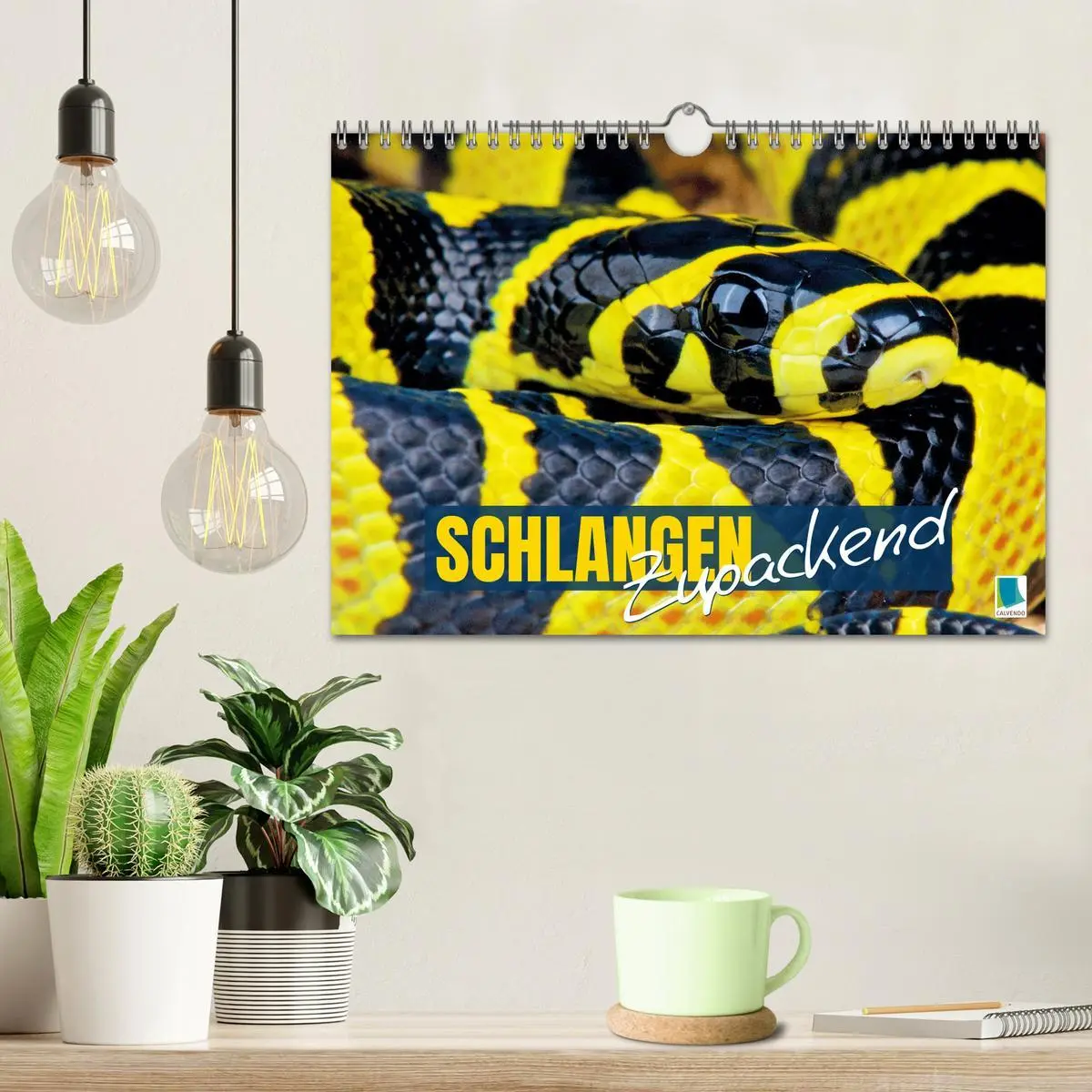 Bild: 9783457355138 | Schlangen: Zupackend (Wandkalender 2026 DIN A4 quer), CALVENDO...