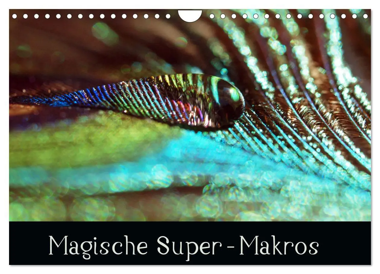Cover: 9783457595138 | Magische Super-Makros (Wandkalender 2026 DIN A4 quer), CALVENDO...