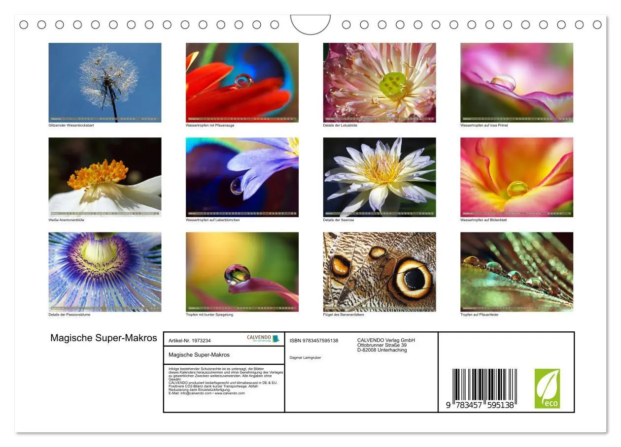 Bild: 9783457595138 | Magische Super-Makros (Wandkalender 2026 DIN A4 quer), CALVENDO...