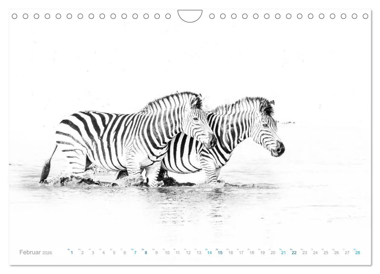 Bild: 9783457805138 | AFRIKA - Schwarz-weiss Fotografien im modernen "High Key" Look...