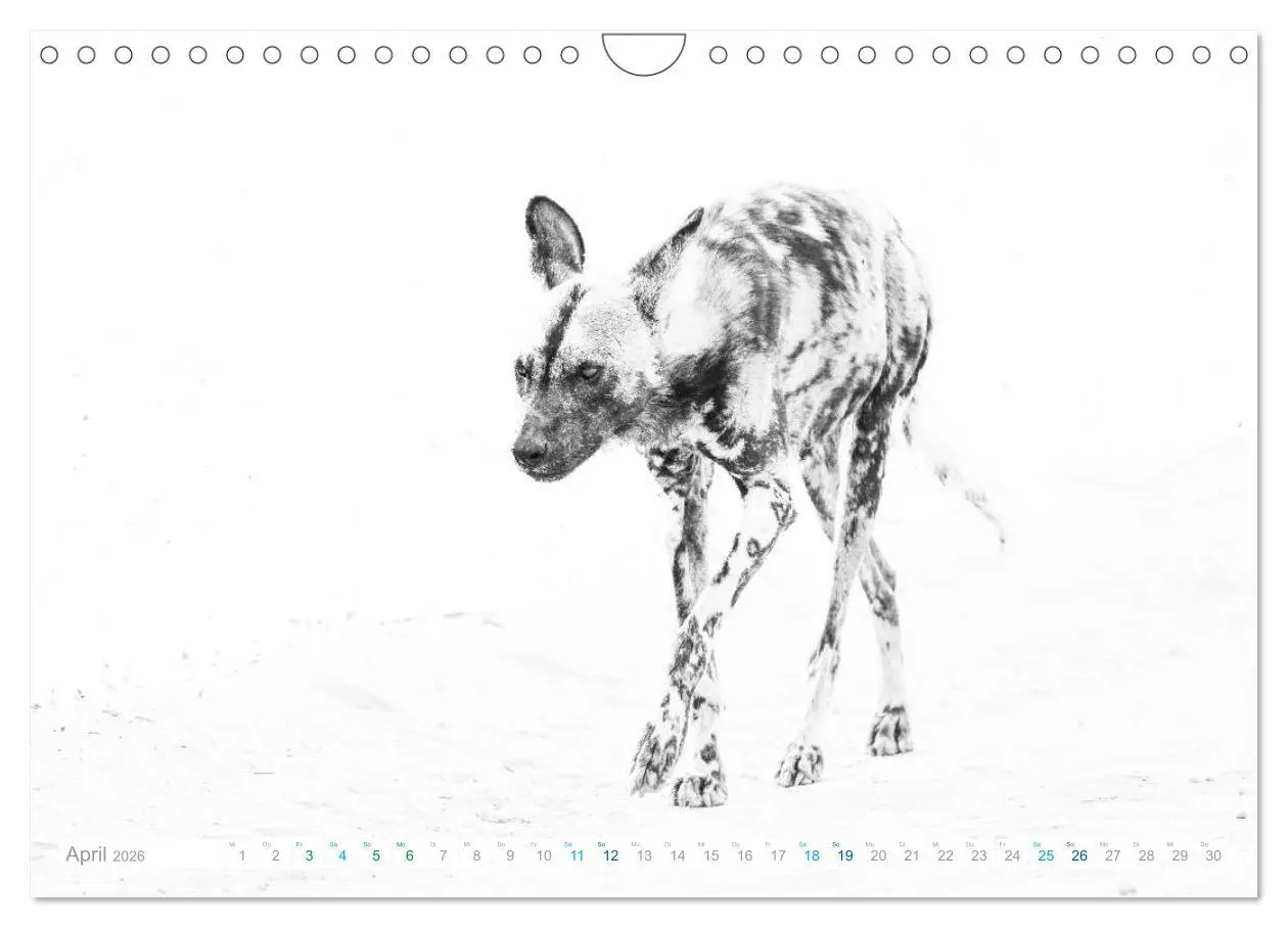 Bild: 9783457805138 | AFRIKA - Schwarz-weiss Fotografien im modernen "High Key" Look...