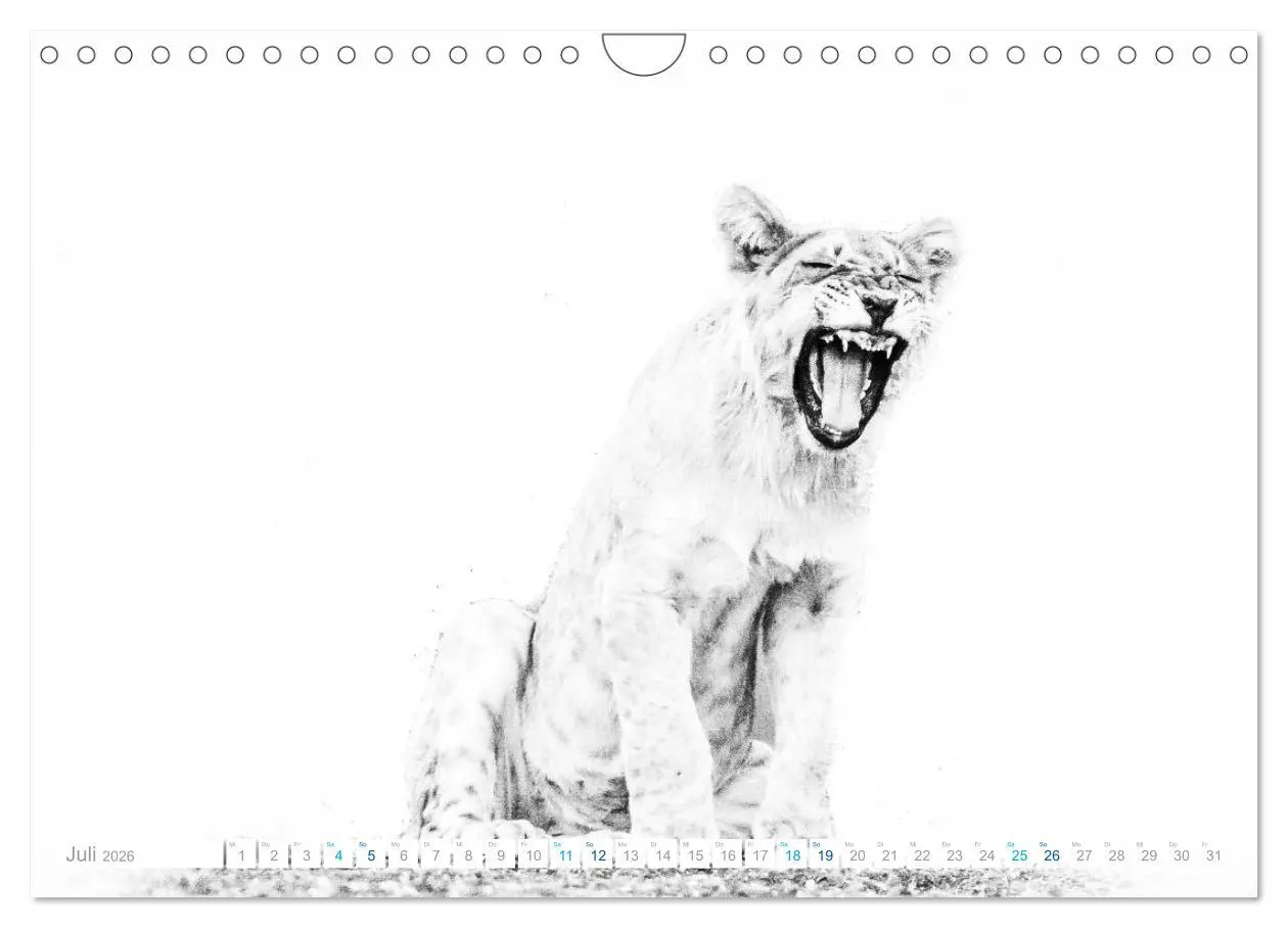 Bild: 9783457805138 | AFRIKA - Schwarz-weiss Fotografien im modernen "High Key" Look...