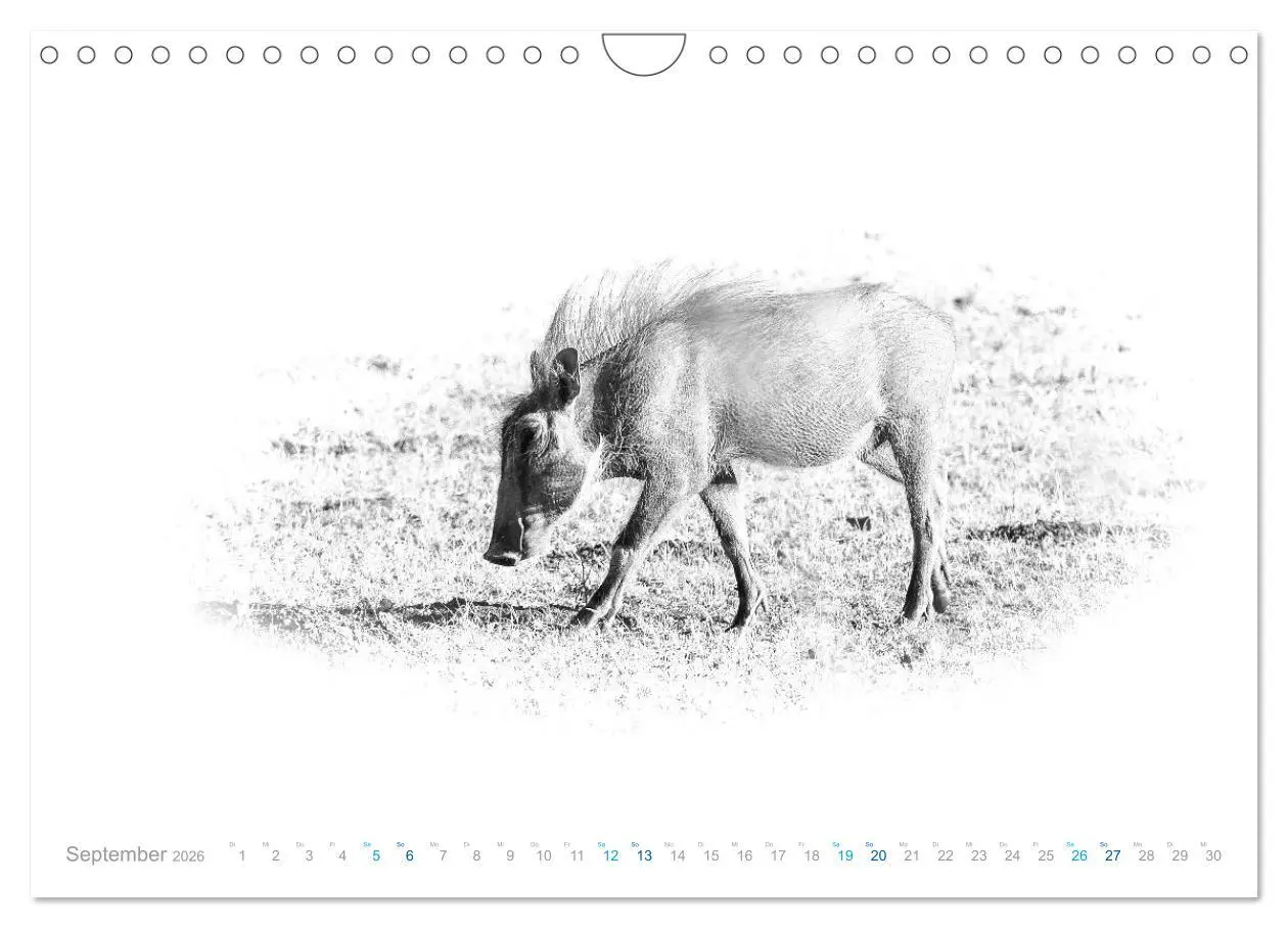 Bild: 9783457805138 | AFRIKA - Schwarz-weiss Fotografien im modernen "High Key" Look...