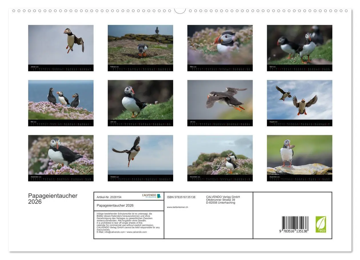 Bild: 9783516135138 | Papageientaucher 2026 (hochwertiger Premium Wandkalender 2026 DIN...