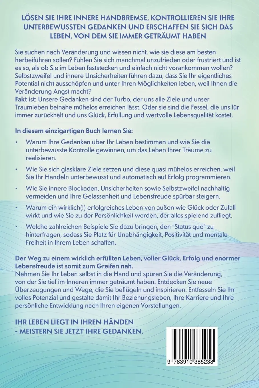 Rückseite: 9783910385238 | Veränderung beginnt im Kopf | Tobias Roese | Taschenbuch | 198 S.