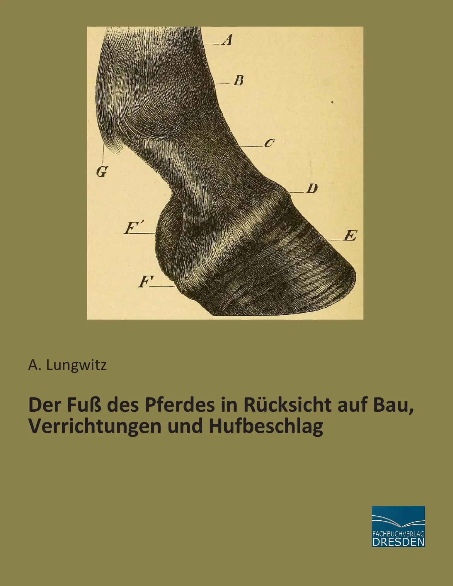 Cover: 9783956925238 | Der Fuß des Pferdes in Rücksicht auf Bau, Verrichtungen und...