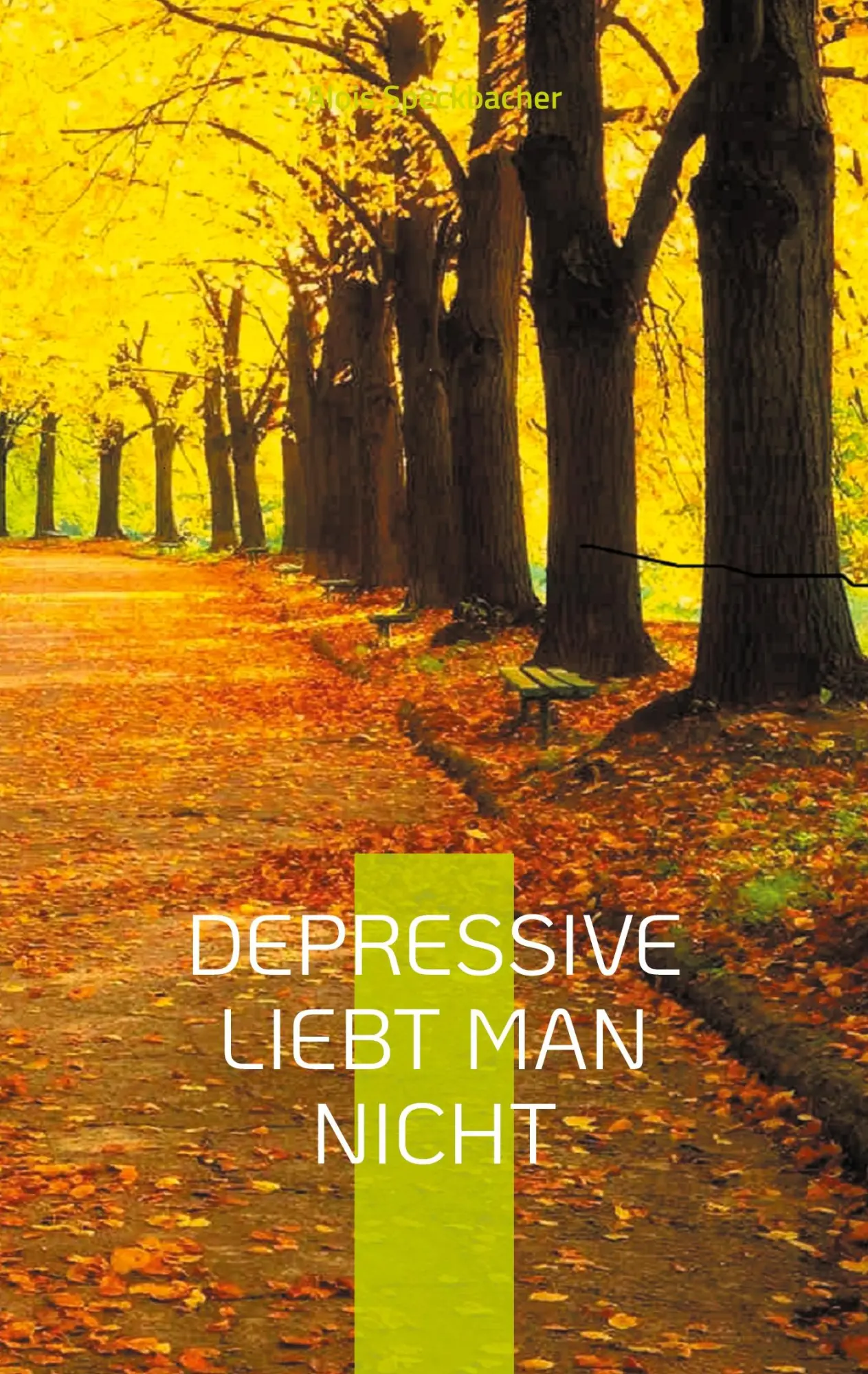 Cover: 9783740785338 | Depressive liebt man nicht | Alois Speckbacher | Taschenbuch | 274 S.