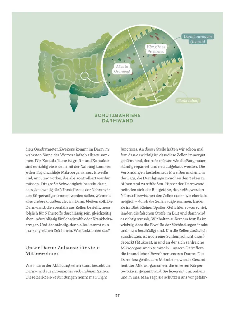 Bild: 9783946625438 | Immun Super Kraft | Jana Konrad | Buch | Deutsch | 2022