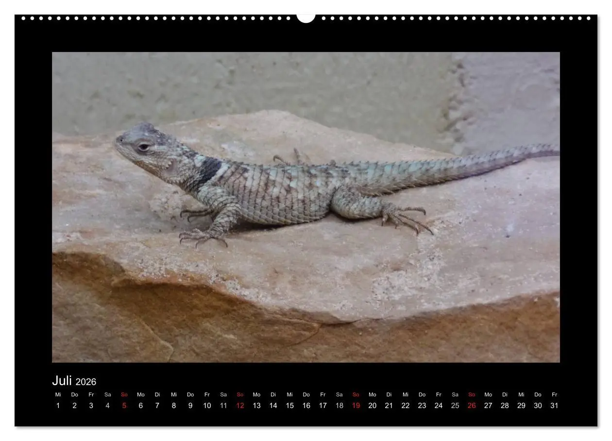 Bild: 9783516195538 | Faszinierende Reptilien (hochwertiger Premium Wandkalender 2026 DIN...
