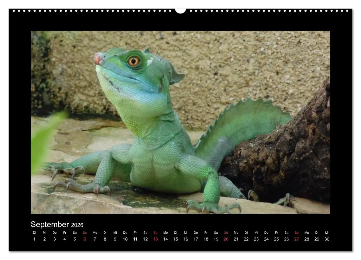 Bild: 9783516195538 | Faszinierende Reptilien (hochwertiger Premium Wandkalender 2026 DIN...