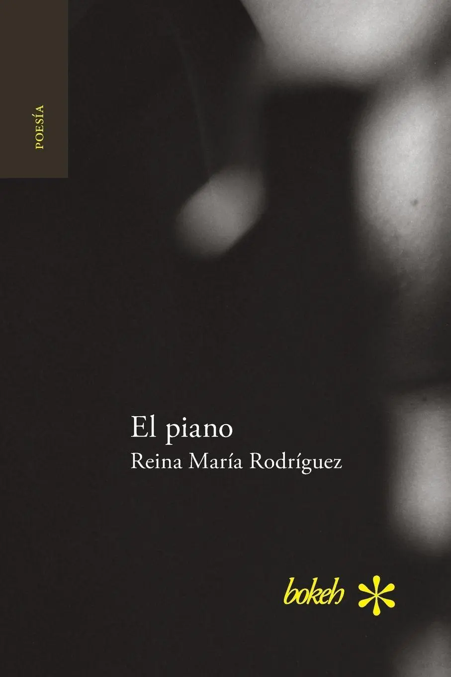 Cover: 9789491515538 | El piano | Reina María Rodríguez | Taschenbuch | Spanisch | 2016