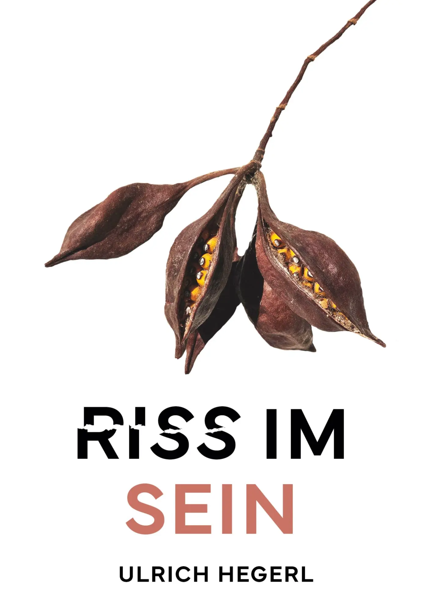 Cover: 9783819295638 | Riss im Sein | Ulrich Hegerl | Taschenbuch | 496 S. | Deutsch | 2025