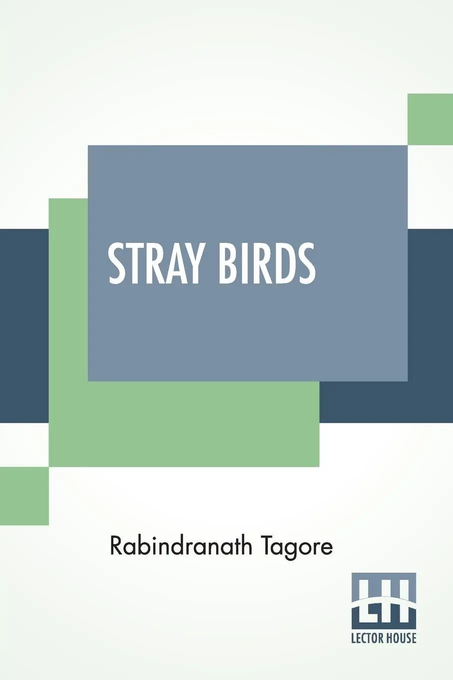 Cover: 9789390215638 | Stray Birds | Translated From Bengali To English By The Author | Buch