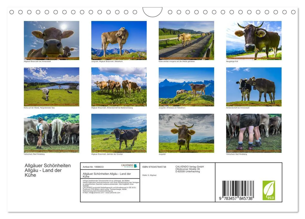 Bild: 9783457845738 | Allgäuer Schönheiten Allgäu - Land der Kühe (Wandkalender 2026 DIN...
