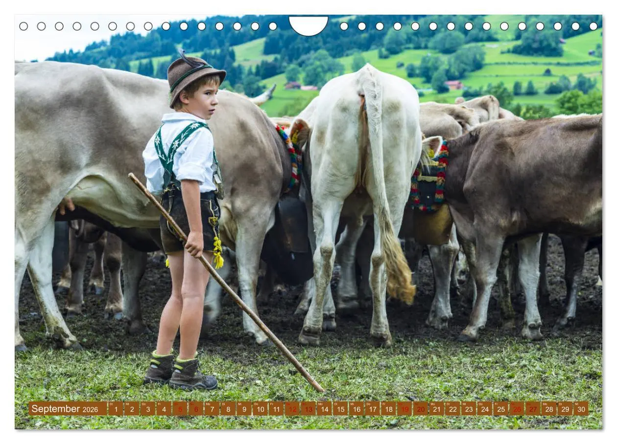 Bild: 9783457845738 | Allgäuer Schönheiten Allgäu - Land der Kühe (Wandkalender 2026 DIN...