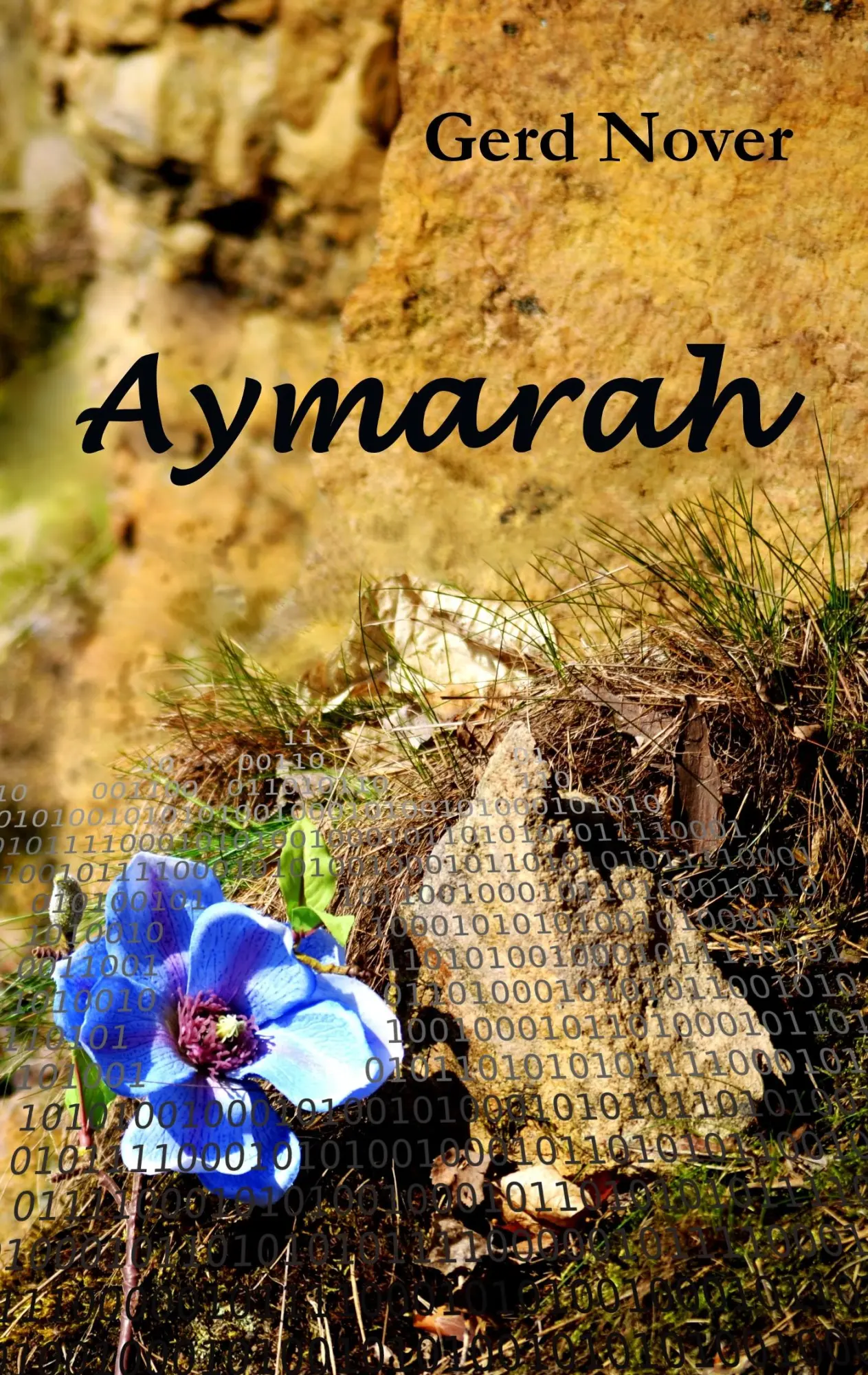 Cover: 9783740745738 | Aymarah | Gerd Nover | Taschenbuch | 280 S. | Deutsch | 2018