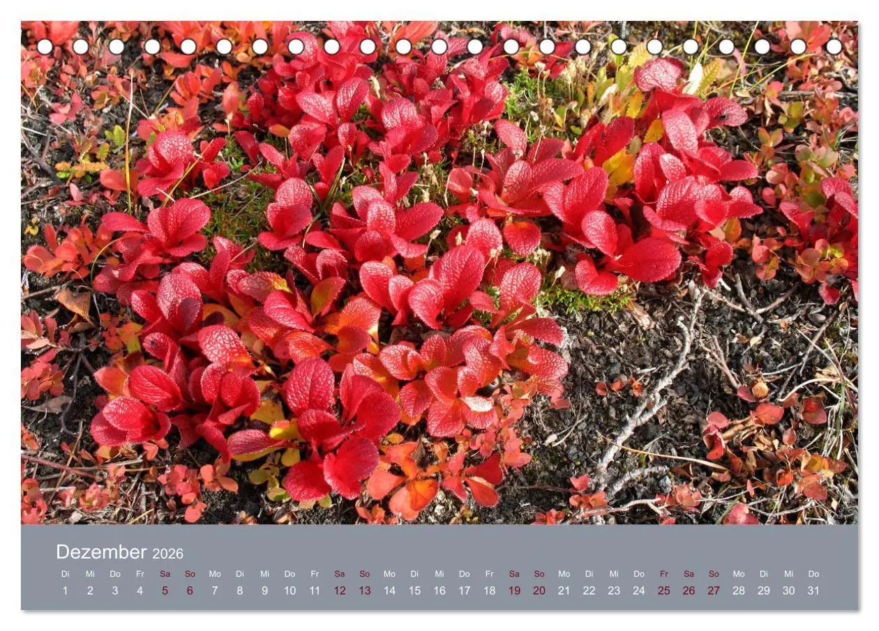 Bild: 9783457765838 | Kamtschatka - Vulkane, Asche, Eis (Tischkalender 2026 DIN A5 quer),...