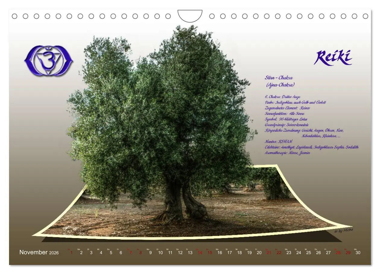 Bild: 9783457835838 | REIKI - Chakren und Lebensregeln (Wandkalender 2026 DIN A4 quer),...