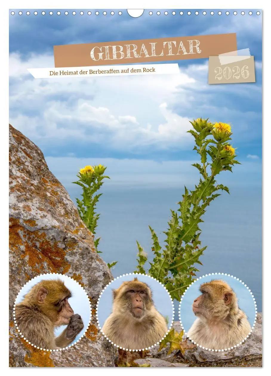 Cover: 9783516305838 | Gibraltar - Die Heimat der Berberaffen auf dem Rock (Wandkalender...