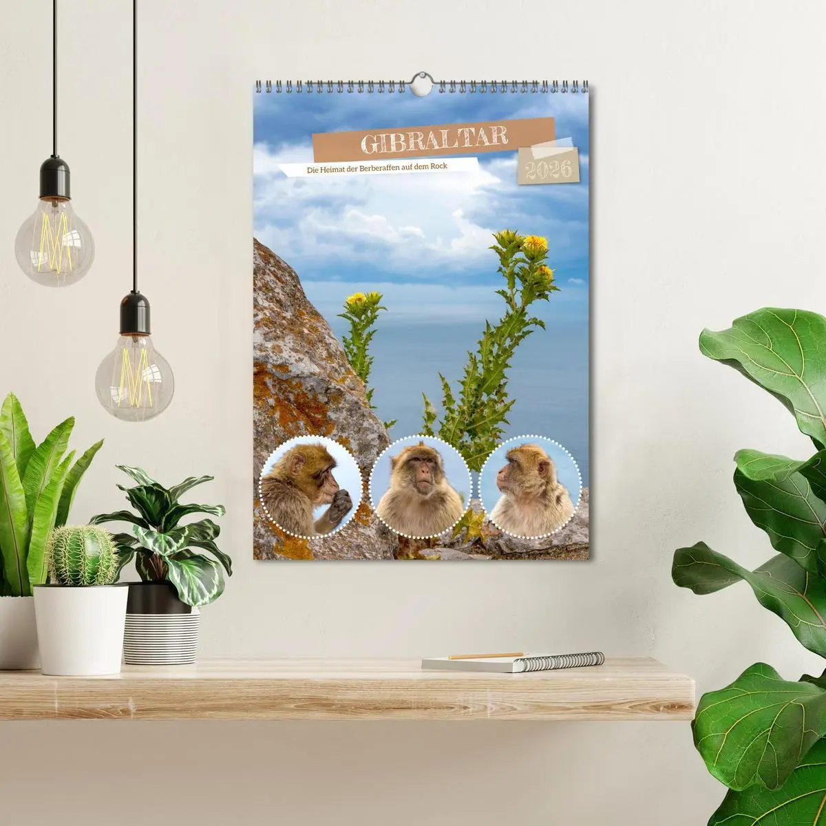 Bild: 9783516305838 | Gibraltar - Die Heimat der Berberaffen auf dem Rock (Wandkalender...