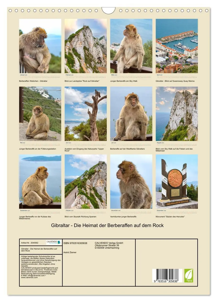 Bild: 9783516305838 | Gibraltar - Die Heimat der Berberaffen auf dem Rock (Wandkalender...