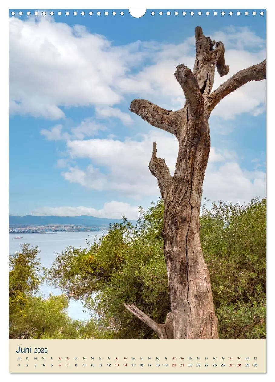 Bild: 9783516305838 | Gibraltar - Die Heimat der Berberaffen auf dem Rock (Wandkalender...