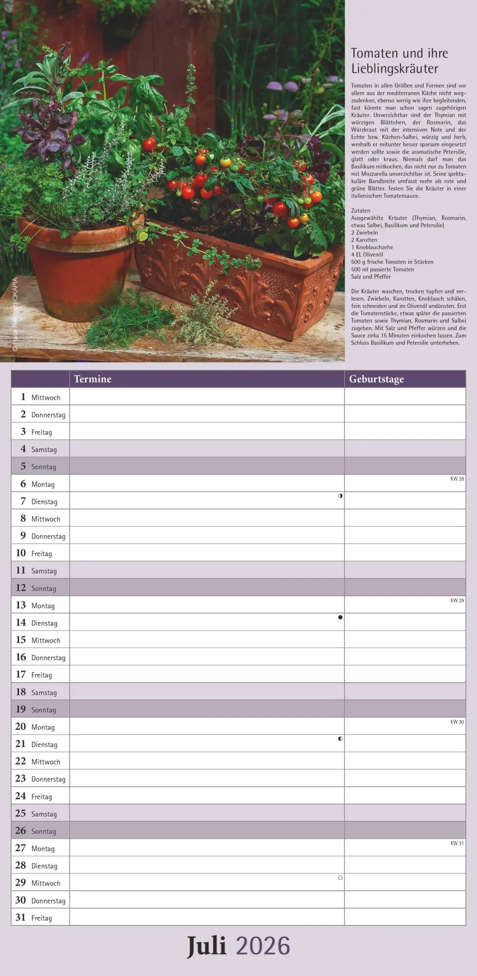 Bild: 4069095005938 | Kräuter &amp; Gewürze 2026 - Streifenkalender 22x45 cm - mit...