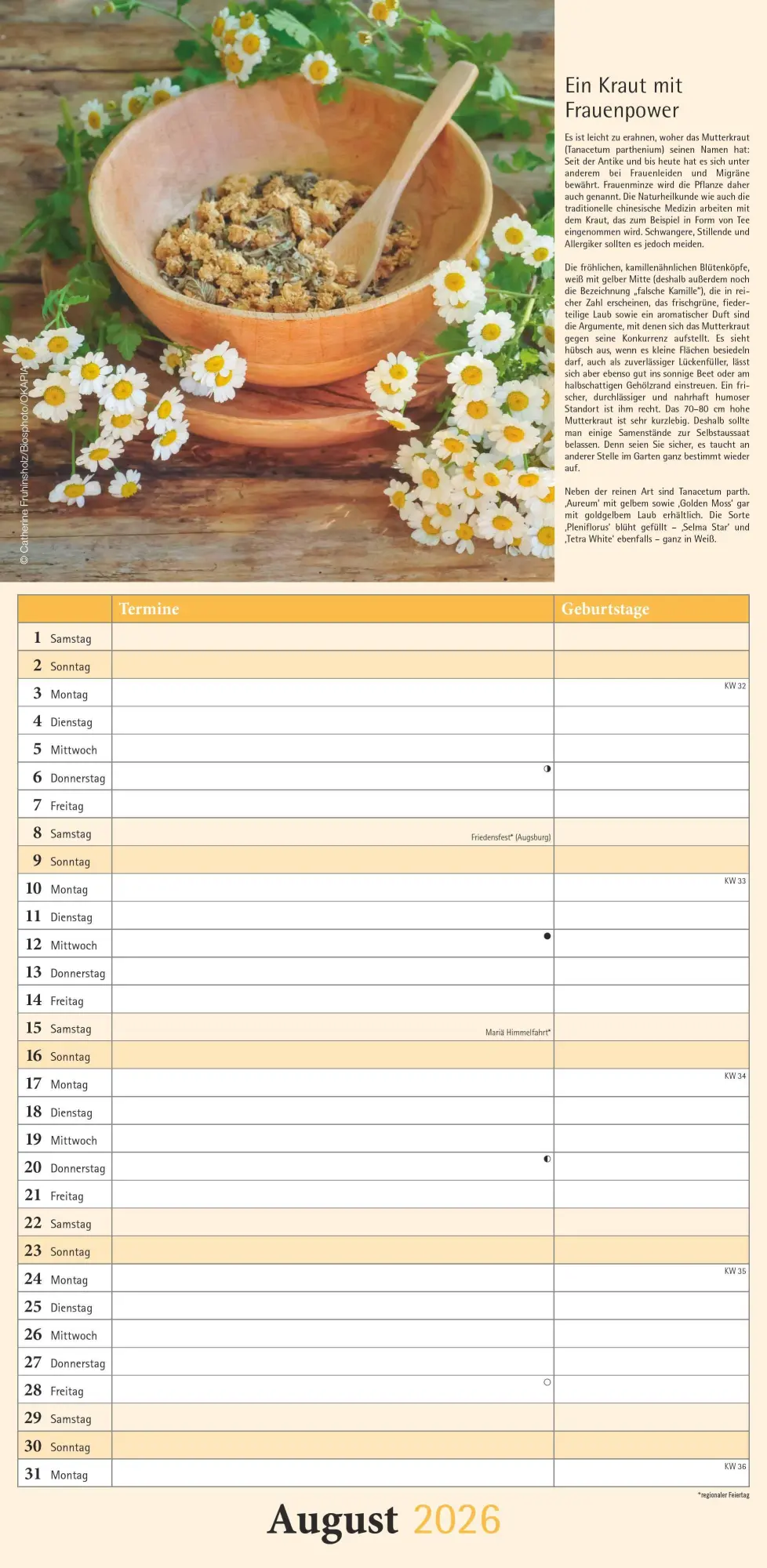 Bild: 4069095005938 | Kräuter &amp; Gewürze 2026 - Streifenkalender 22x45 cm - mit...