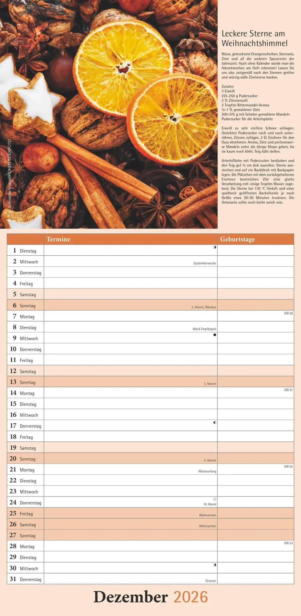 Bild: 4069095005938 | Kräuter &amp; Gewürze 2026 - Streifenkalender 22x45 cm - mit...