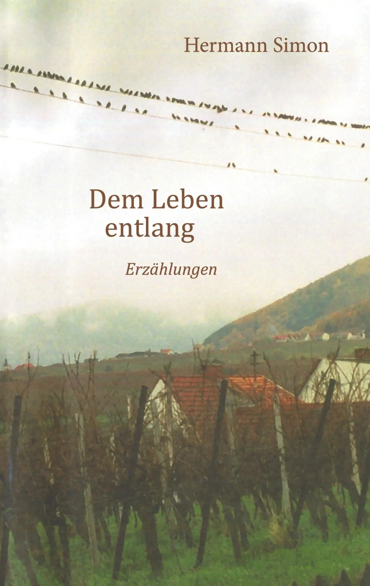 Cover: 9783819265938 | Dem Leben entlang | Erzählungen | Hermann Simon | Taschenbuch | 264 S.