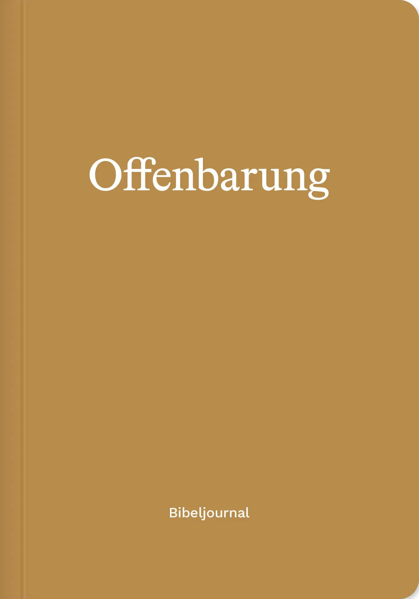 Cover: 9783986655938 | Offenbarung (Bibeljournal) | Verbum Medien | Taschenbuch | 88 S.