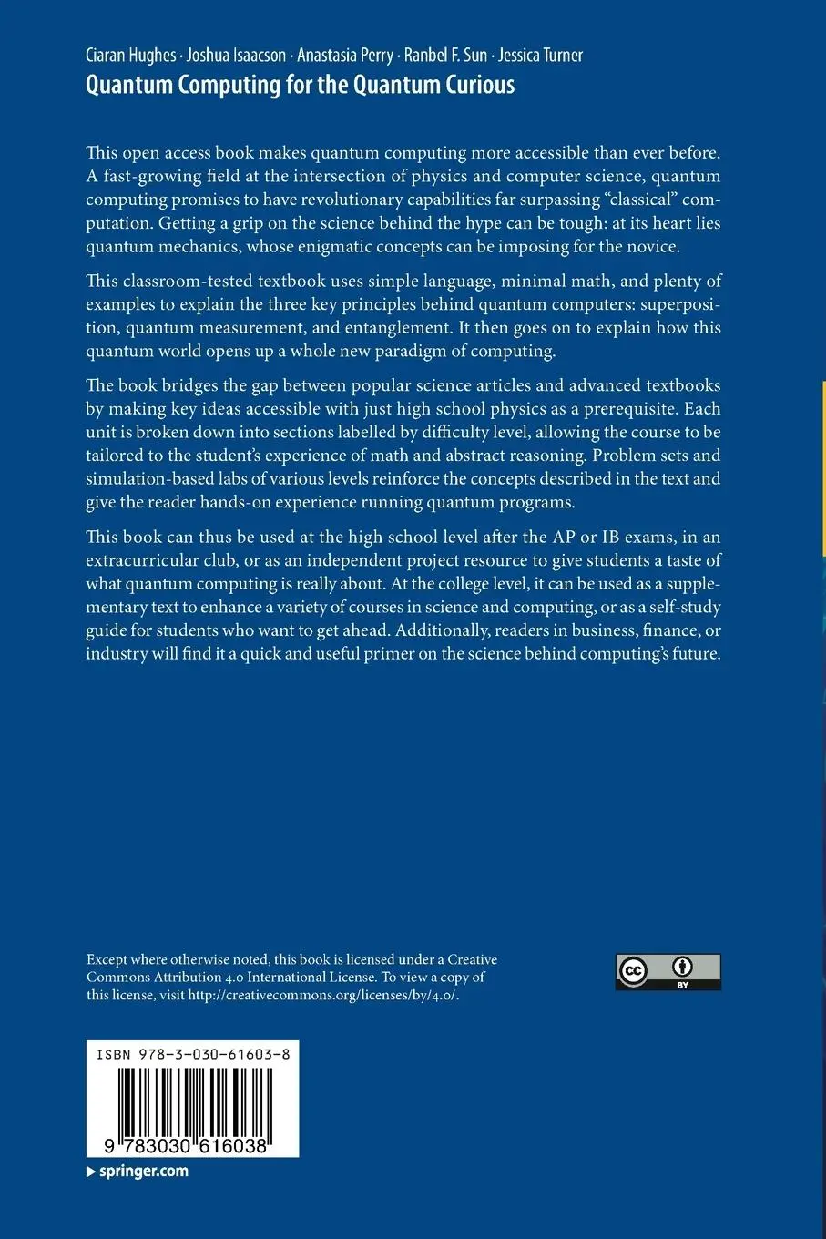 Rückseite: 9783030616038 | Quantum Computing for the Quantum Curious | Ciaran Hughes (u. a.) | xv