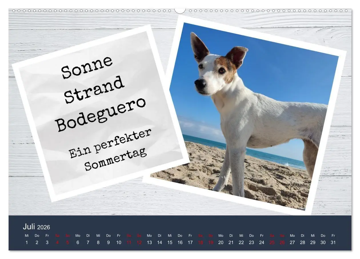 Bild: 9783516666038 | Ratonero Bodeguero Andaluz (hochwertiger Premium Wandkalender 2026...