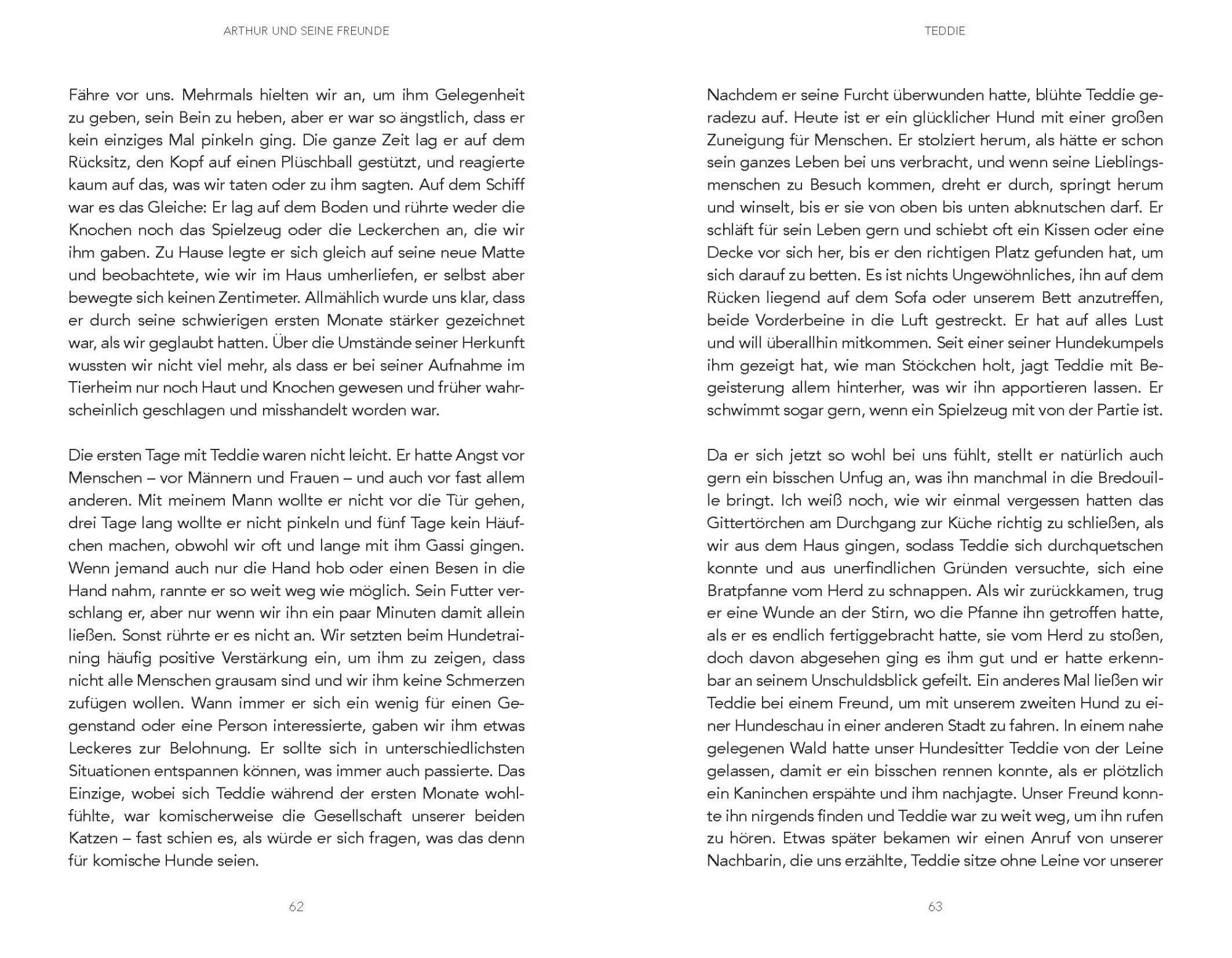 Bild: 9783841906038 | Arthur und seine Freunde | Mikael Lindnord | Taschenbuch | 224 S.