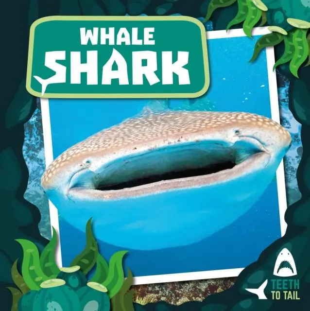 Cover: 9781786376138 | Whale Shark | Teeth to Tail | Robin Twiddy | Buch | Gebunden | 2019