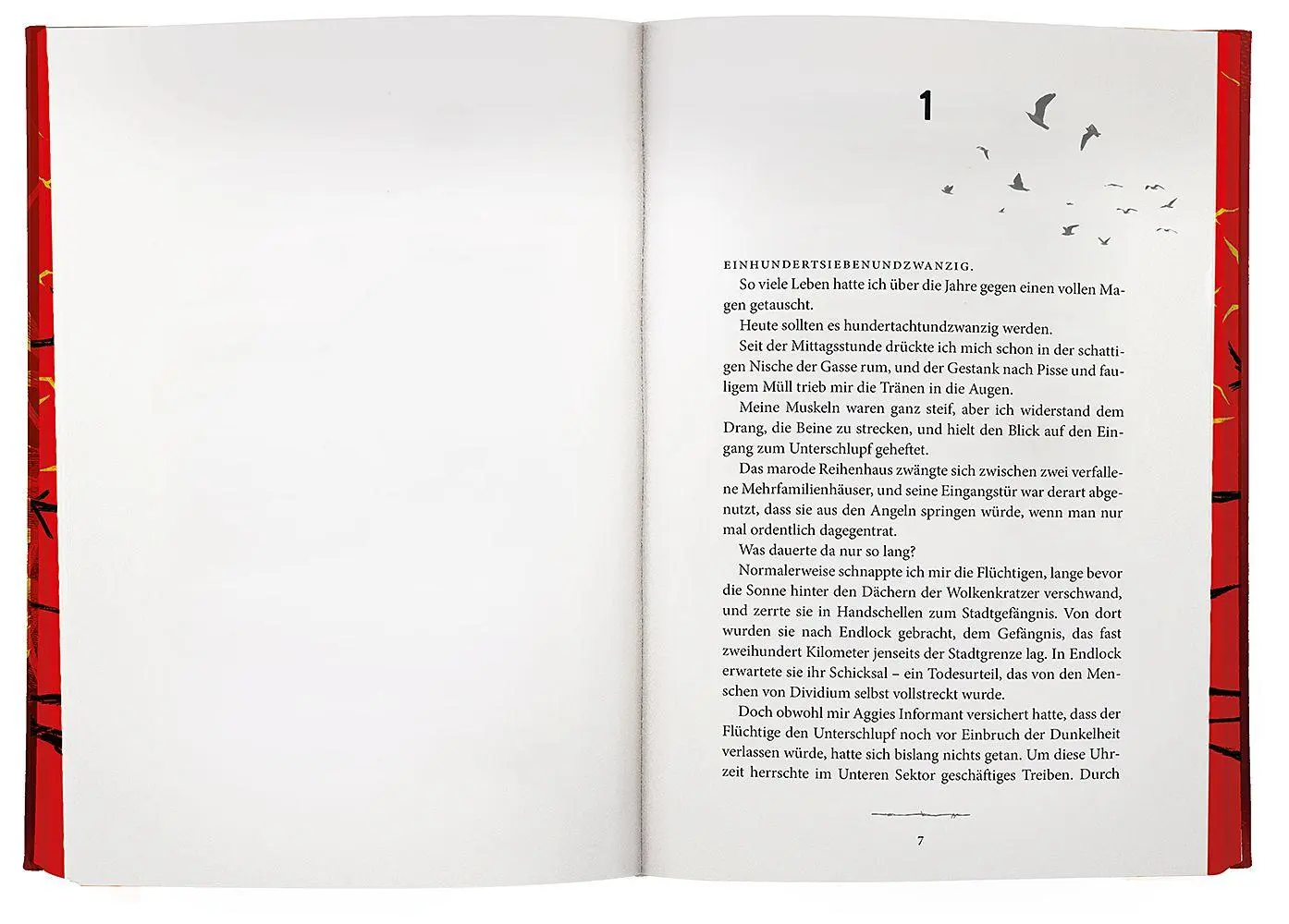Bild: 9783426566138 | To Cage a Wild Bird | Brooke Fast | Buch | Divided Fates | 448 S.