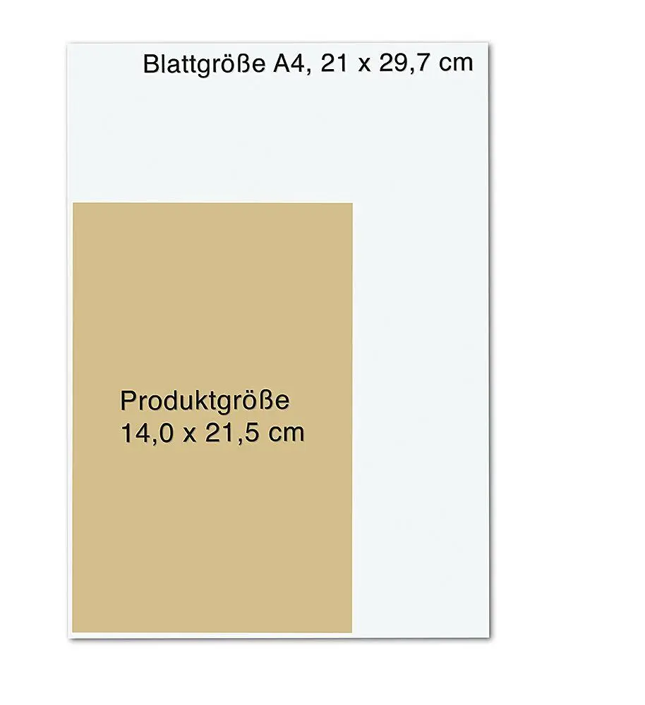 Bild: 9783426566138 | To Cage a Wild Bird | Brooke Fast | Buch | Divided Fates | 448 S.