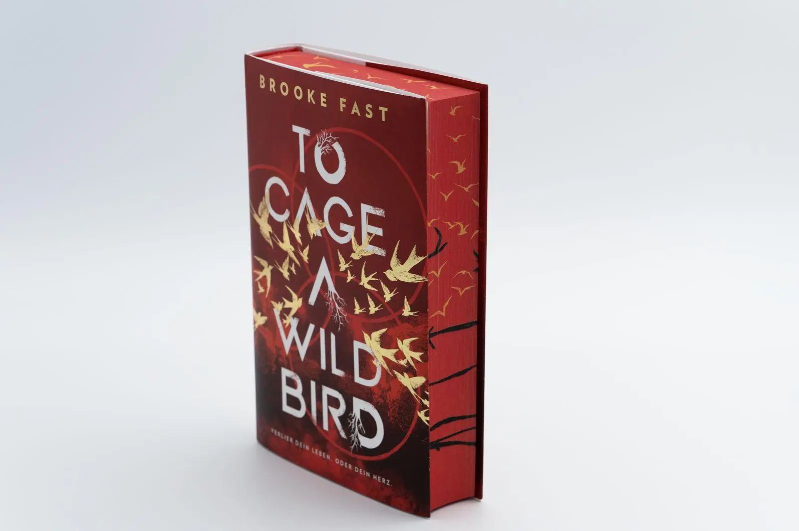 Bild: 9783426566138 | To Cage a Wild Bird | Brooke Fast | Buch | Divided Fates | 448 S.